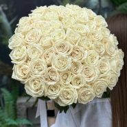 Белоснежная роза Плая Бланка 51 2