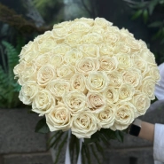 Белоснежная роза Плая Бланка 51 1