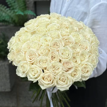 Белоснежная роза Плая Бланка 51