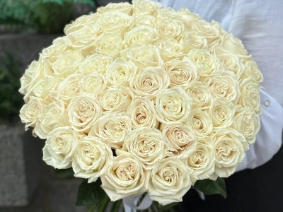 Белоснежная роза Плая Бланка 51