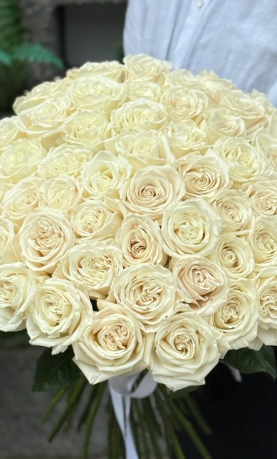 Белоснежная роза Плая Бланка 51