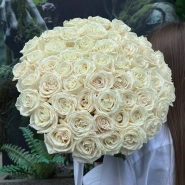 Белоснежная роза Плая Бланка 51 4