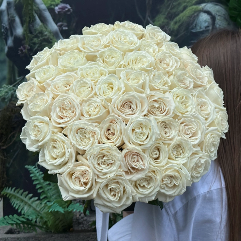 Белоснежная роза Плая Бланка 51