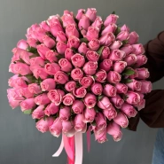 101 роза кения розовая 2