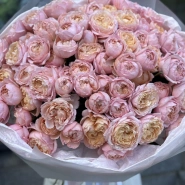 101 кустовая роза Джульетта 0