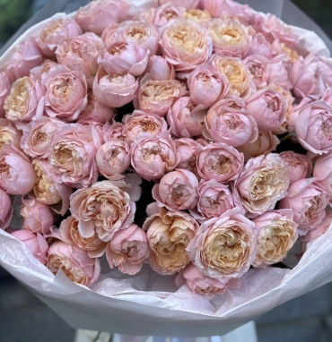 101 кустовая роза Джульетта