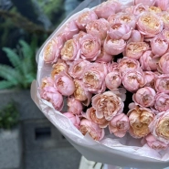 101 кустовая роза Джульетта 1