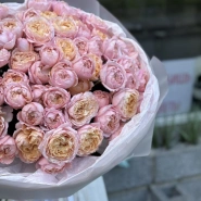 101 кустовая роза Джульетта 2