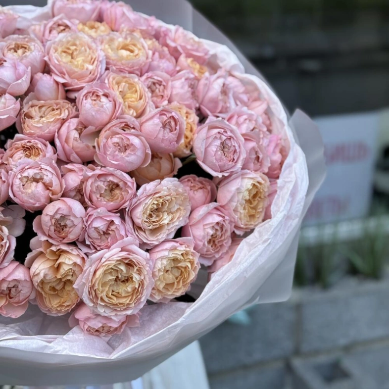 101 кустовая роза Джульетта