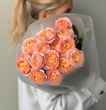 Шикарная Джульетта пионовидные кустовые розы