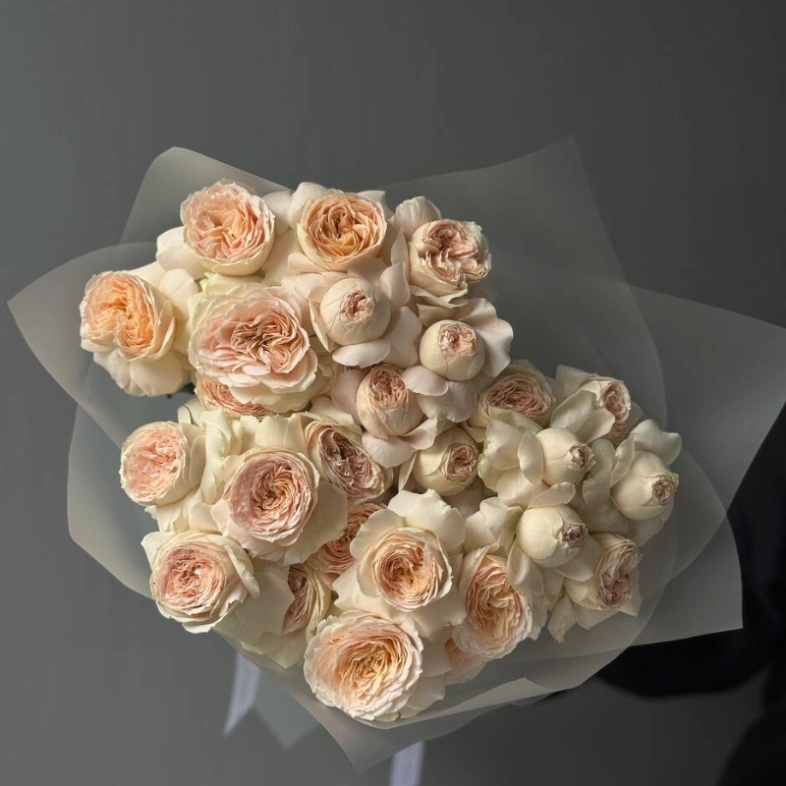 Кустовые пионовидные розы Pavlova