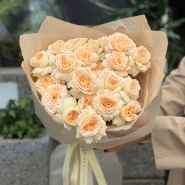 Кустовые пионовидные розы Pavlova 1