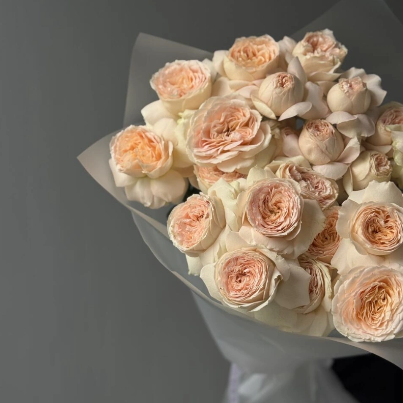 Кустовые пионовидные розы Pavlova