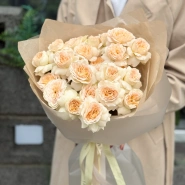 Кустовые пионовидные розы Pavlova 3