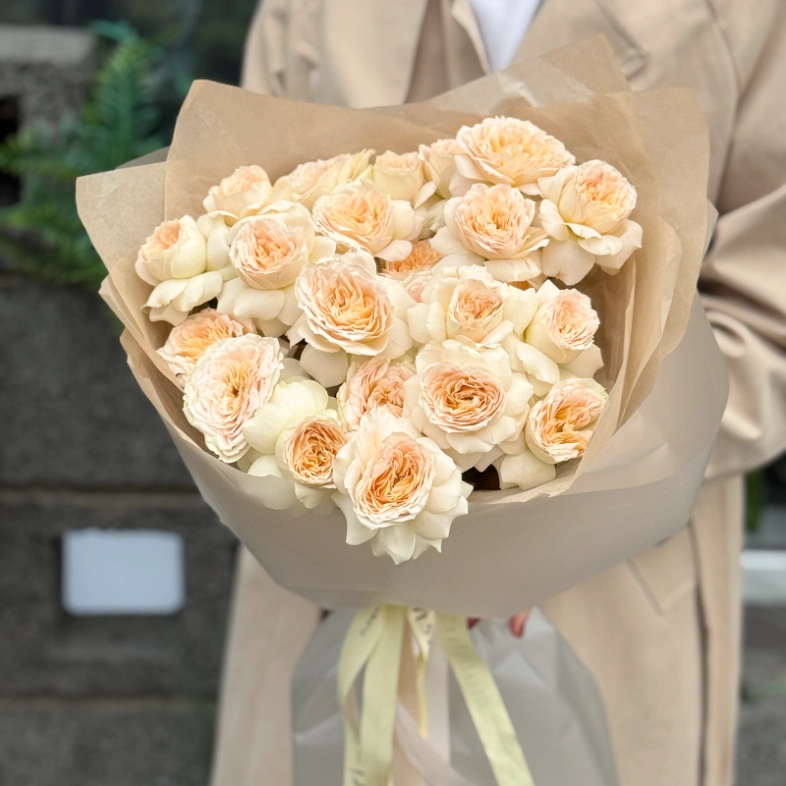 Кустовые пионовидные розы Pavlova