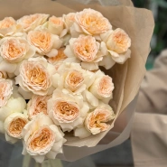 Кустовые пионовидные розы Pavlova 4