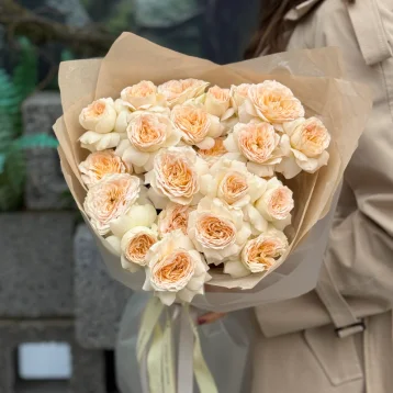 Кустовые пионовидные розы Pavlova