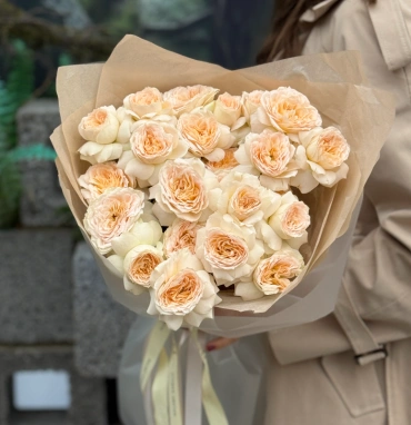 Кустовые пионовидные розы Pavlova