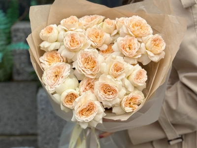 Кустовые пионовидные розы Pavlova