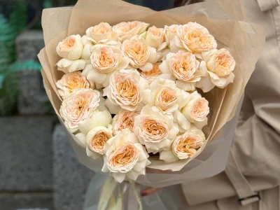 Кустовые пионовидные розы Pavlova