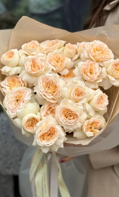 Кустовые пионовидные розы Pavlova