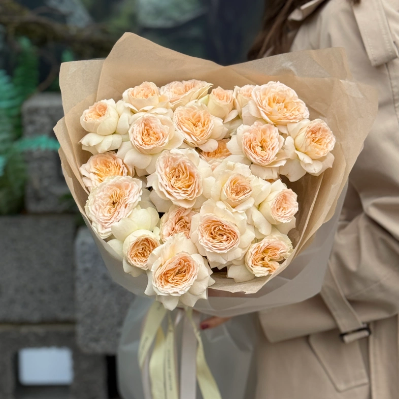 Кустовые пионовидные розы Pavlova