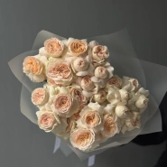 Кустовые пионовидные розы Pavlova 1