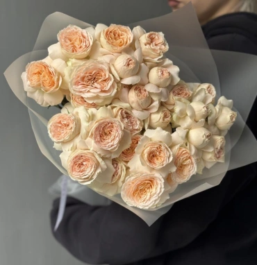 Кустовые пионовидные розы Pavlova