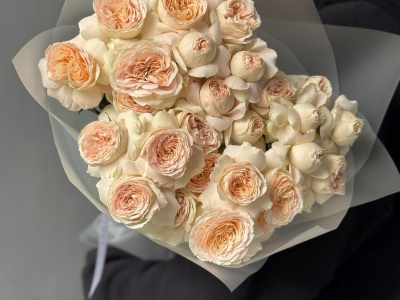 Кустовые пионовидные розы Pavlova