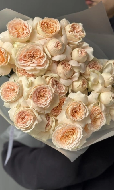 Кустовые пионовидные розы Pavlova