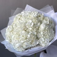 Моно-букет «Облако гортензии» 9шт  0