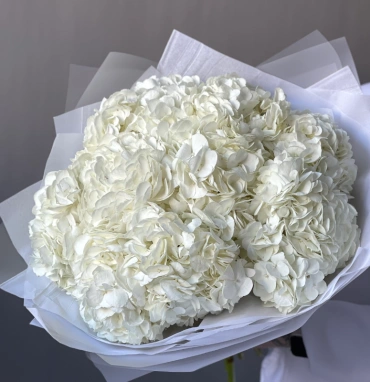 Моно-букет «Облако гортензии» 9шт 