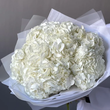 Моно-букет «Облако гортензии» 9шт 