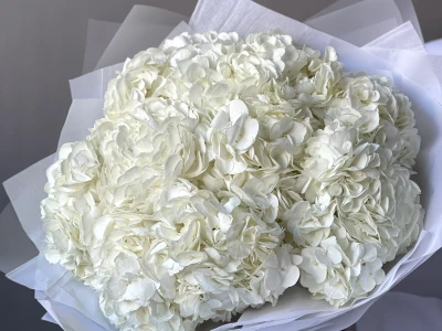 Моно-букет «Облако гортензии» 9шт 