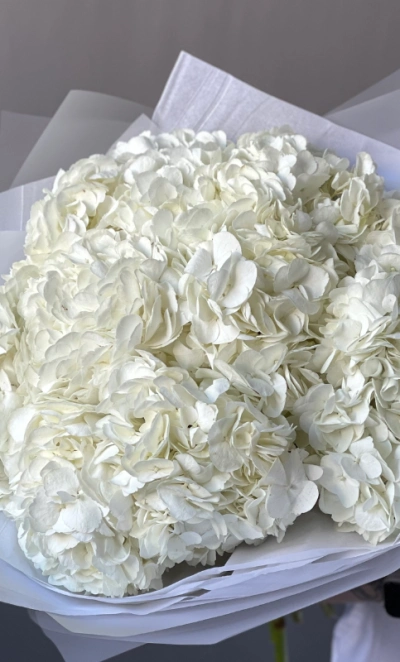 Моно-букет «Облако гортензии» 9шт 