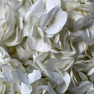 Моно-букет «Облако гортензии» 9шт  2