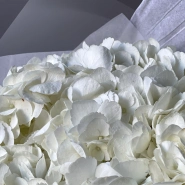 Моно-букет «Облако гортензии» 9шт  4