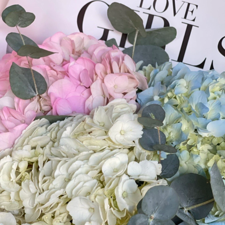 Моно букет из гортензий с эвкалиптом 