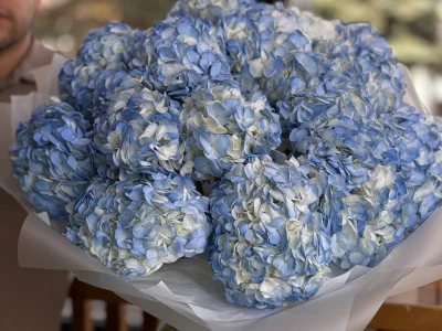 Голубые гортензии в моно букете 15