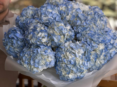 Голубые гортензии в моно букете 15