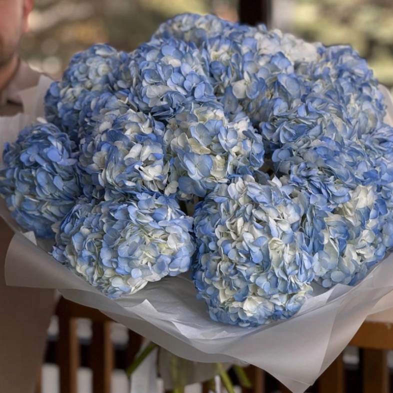 Голубые гортензии в моно букете 15