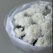 Монобукет кустовая хризантема  3