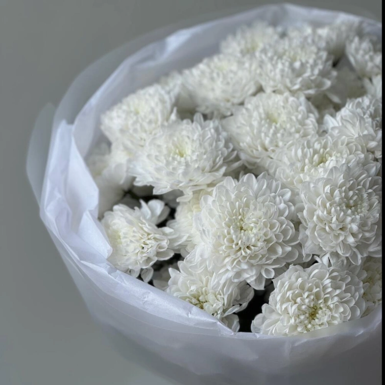 Монобукет кустовая хризантема 