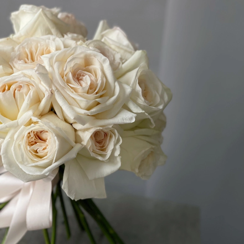 Пионовидные розы «Вайт О’хара» 