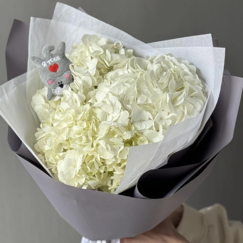 Облако гортензии с котиком