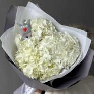 Облако гортензии с котиком 2