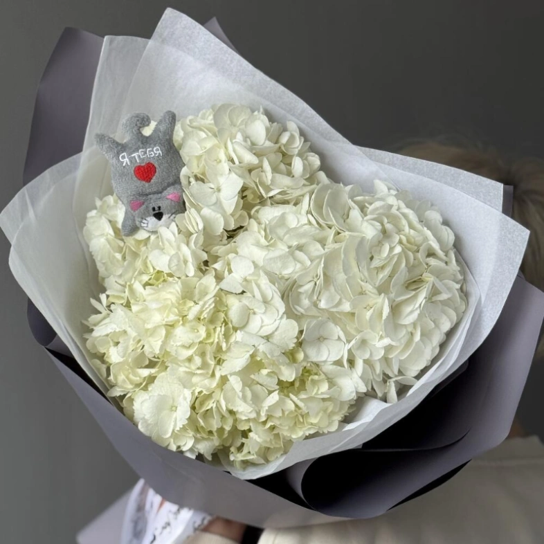 Облако гортензии с котиком