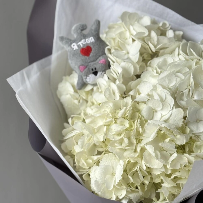 Облако гортензии с котиком