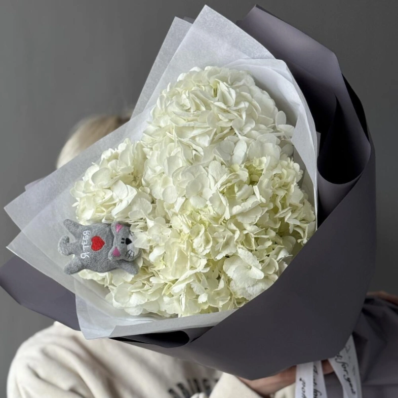 Облако гортензии с котиком