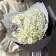 Облако гортензии с котиком 0